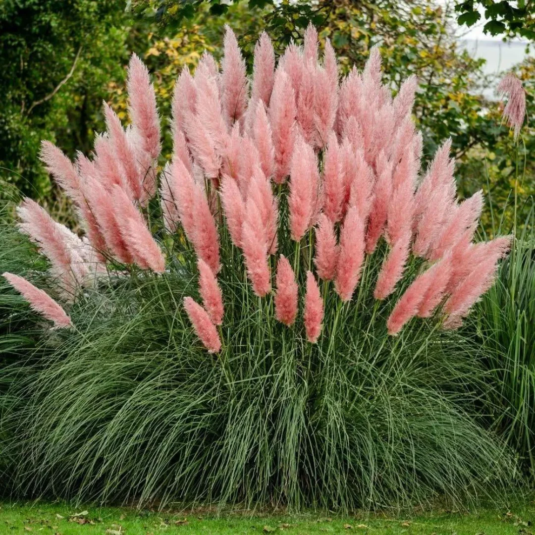 5544