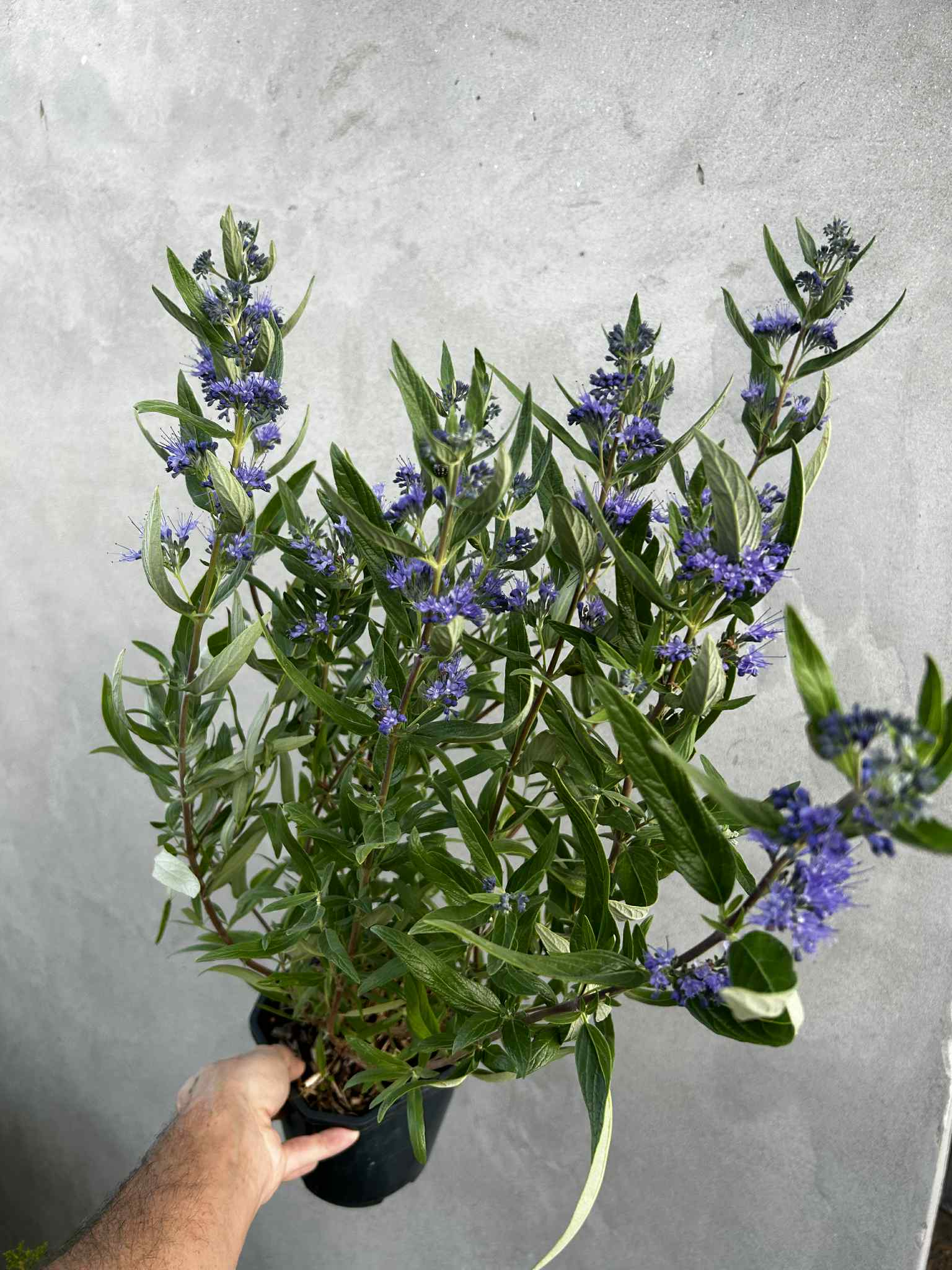 4914a211-a3cd-4c9c-aff5-1ad743fabfc3