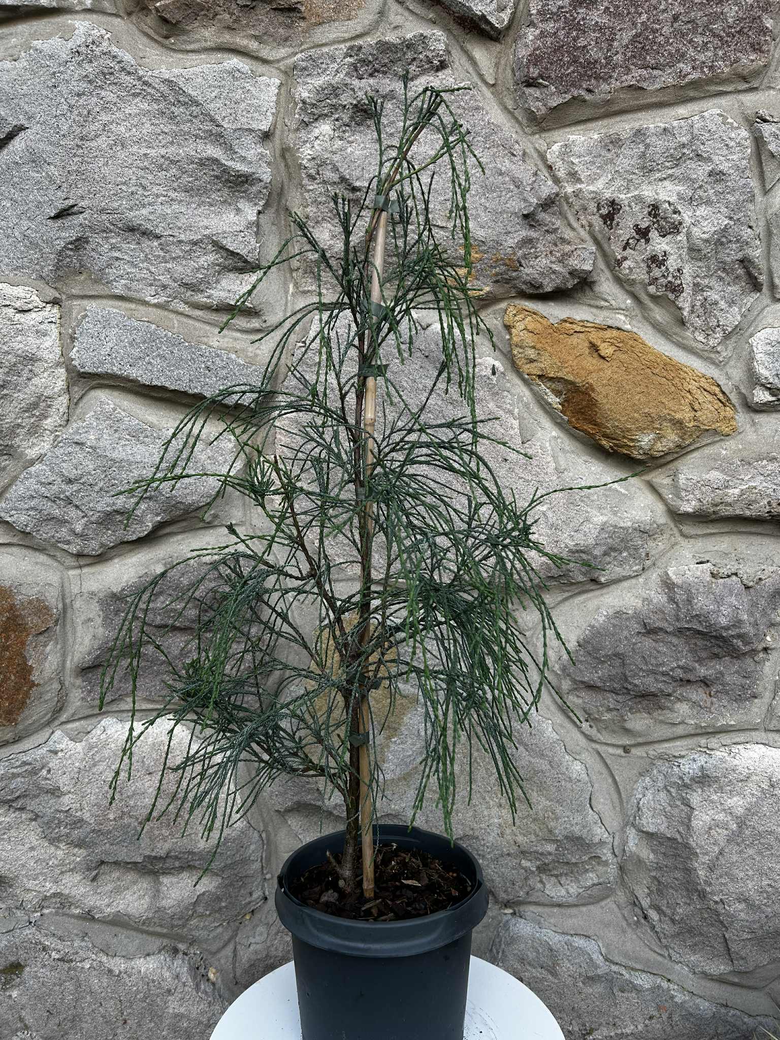 15e23640-e06e-49fc-b807-599b15b7612a