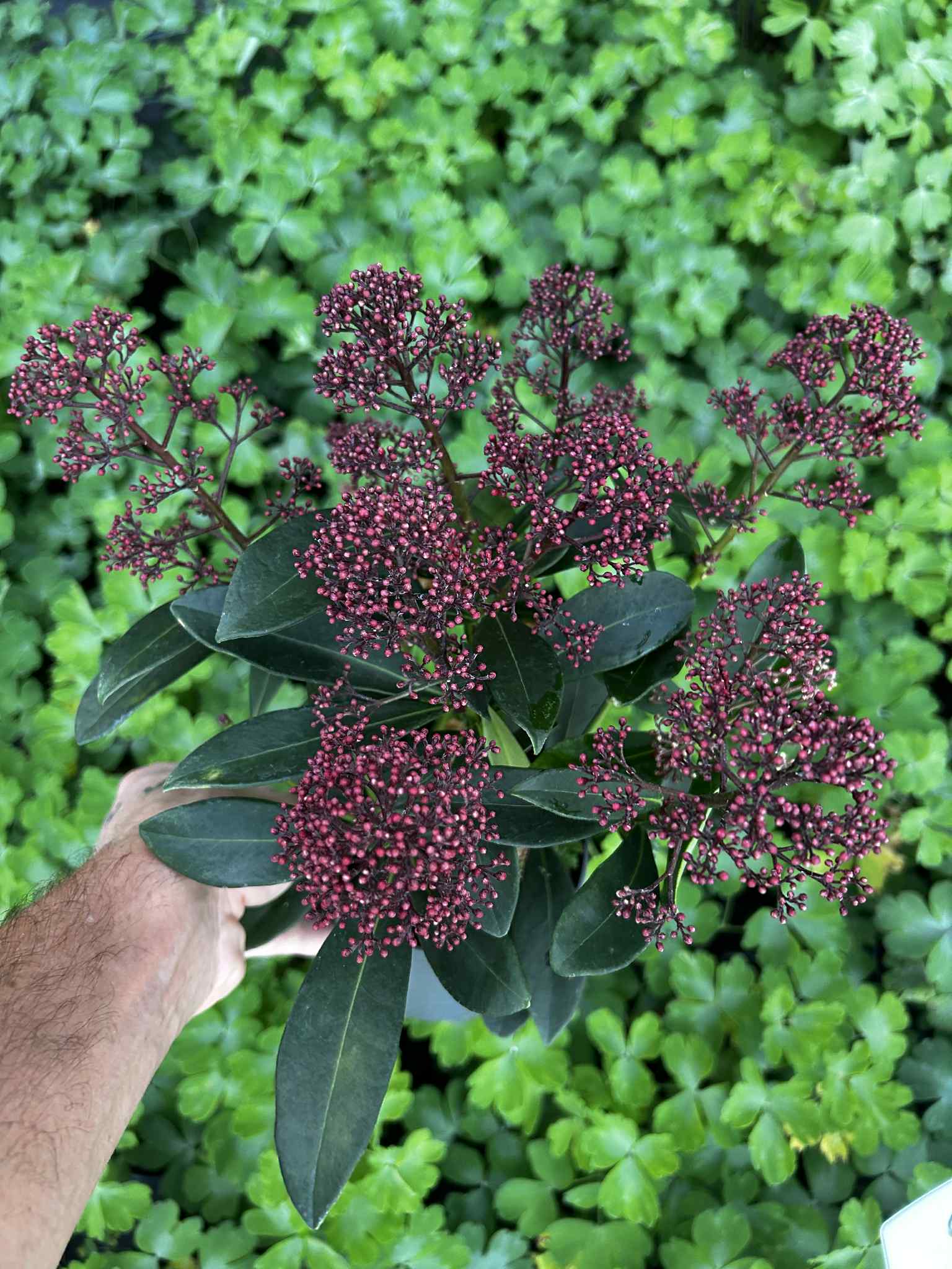 1c502c47-4954-42e8-a067-a048c8303bb8