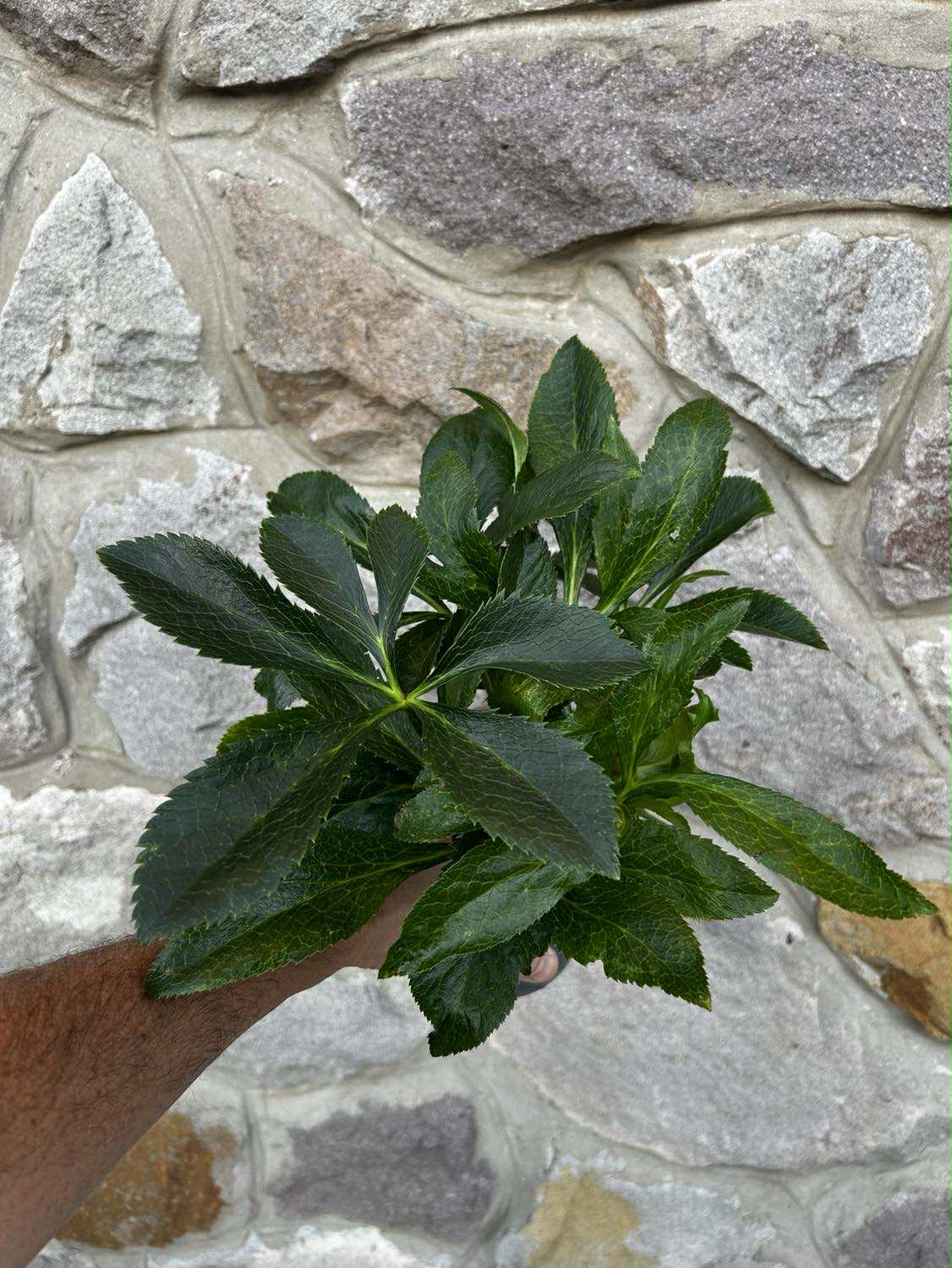 354f9a88-c6e6-44af-b8ff-4cfdc88a7199