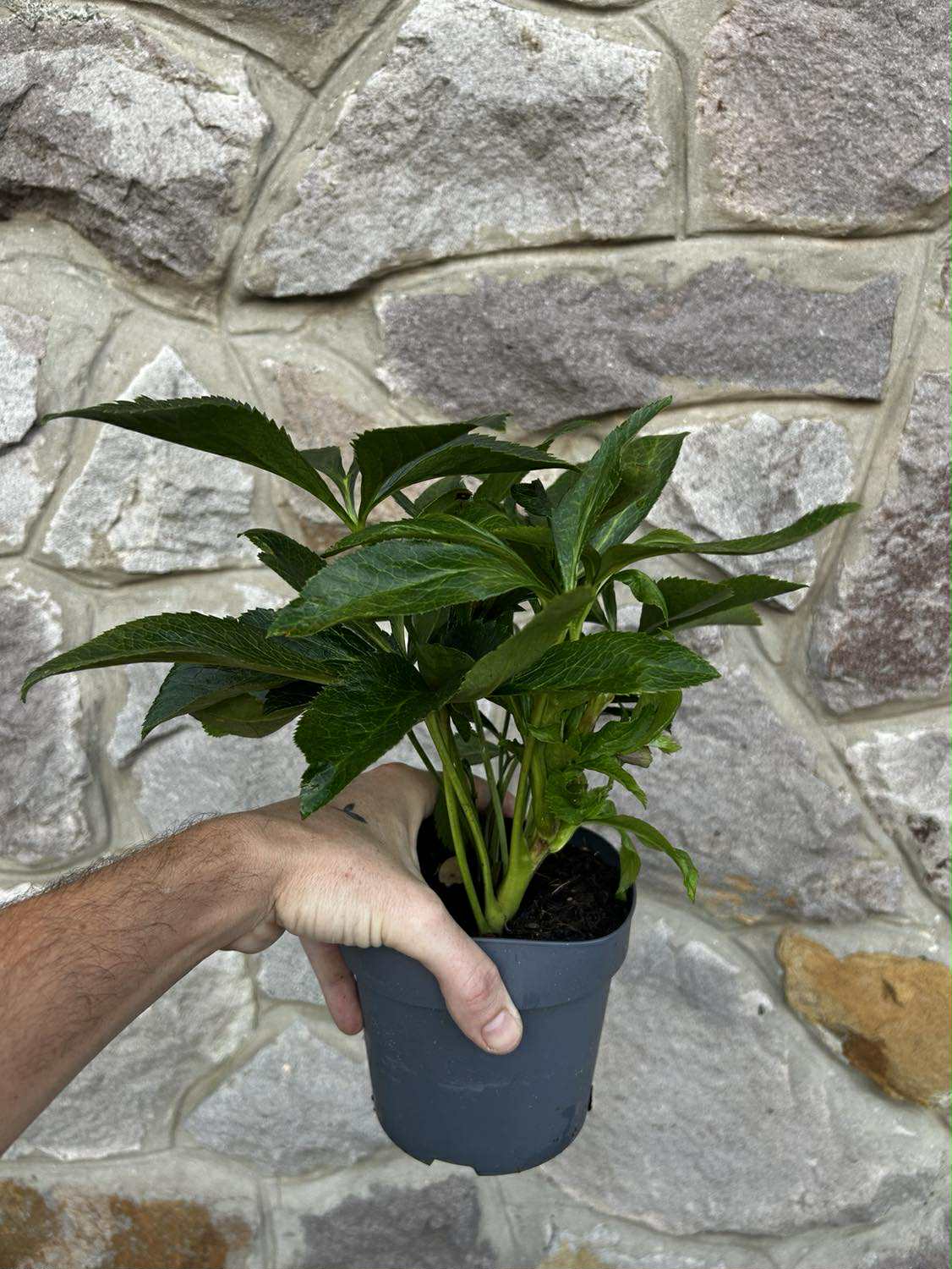 4055176e-3ed6-4529-bae3-636e6e5695d6