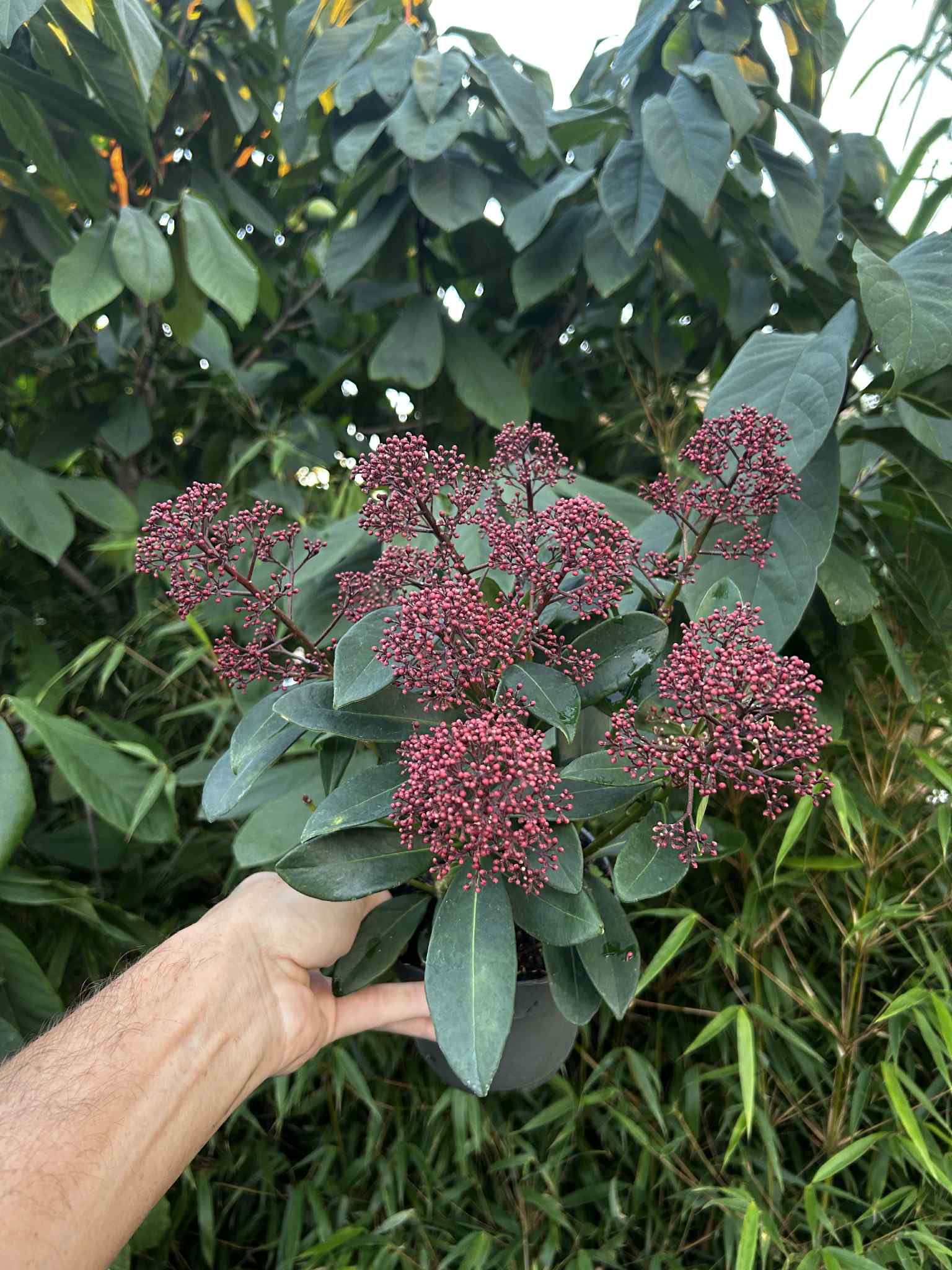 49bbe6b4-5e5e-4759-89e3-959b79cd565f