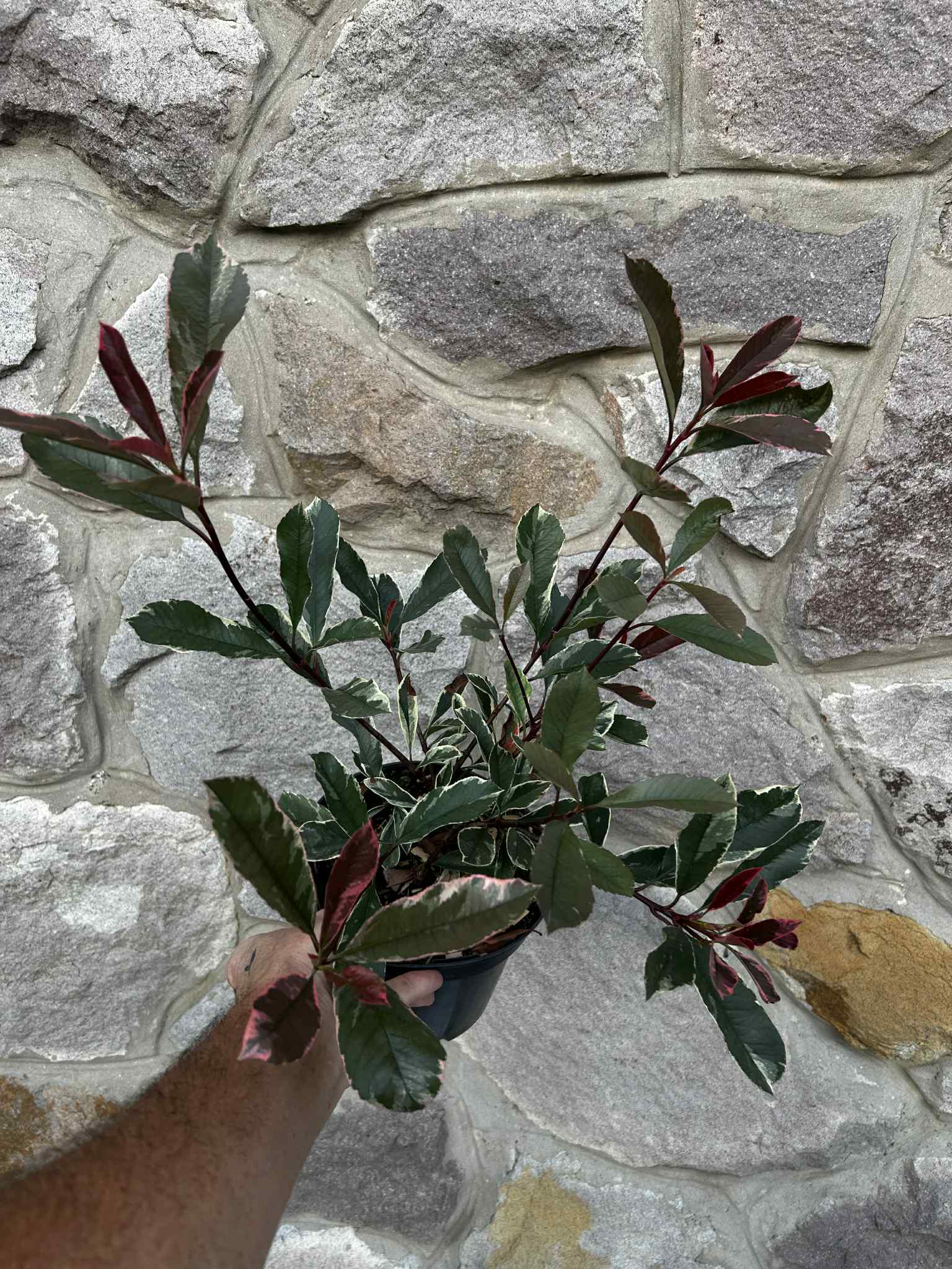 a596d262-a23c-4012-ac36-216d84f05cc2