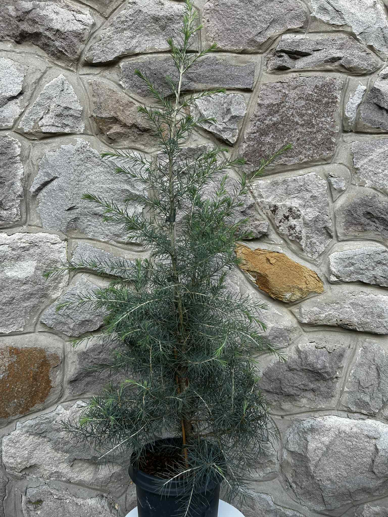 f02c666f-00c0-485a-be2c-443eb536538b